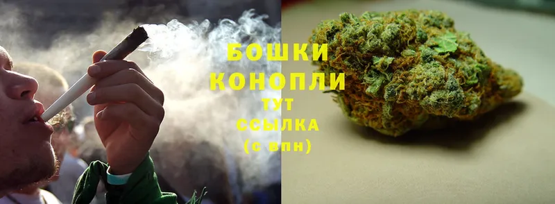 как найти наркотики  Болохово  Шишки марихуана Bruce Banner 